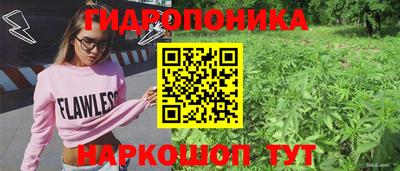 гидропоника Гусь-Хрустальный
